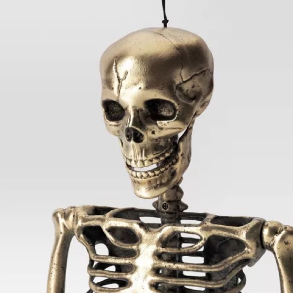 Hyde and EEK! 36" Posable Skeleton Halloween Decorative Prop - Picture 3 of 9